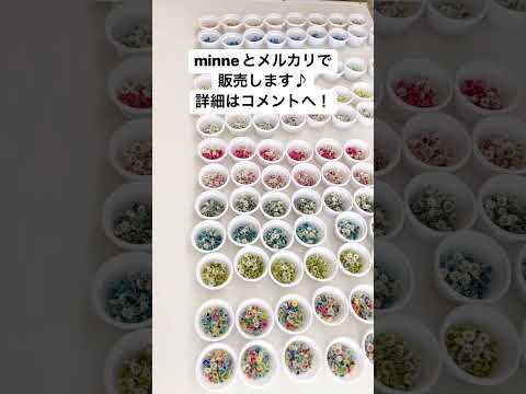 カラフルになります: これが花の草原を作る方法です トピックス