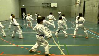 preview picture of video 'Heian Shodan Karate Klub Goshin Ryu Spreitenbach'