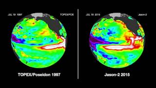 A side-by-side comparison of sea surface height in the Pacific Ocean