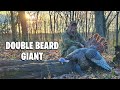 Big Eastern Catches Me Off Guard Sunrise Surprise Turkey Hunt