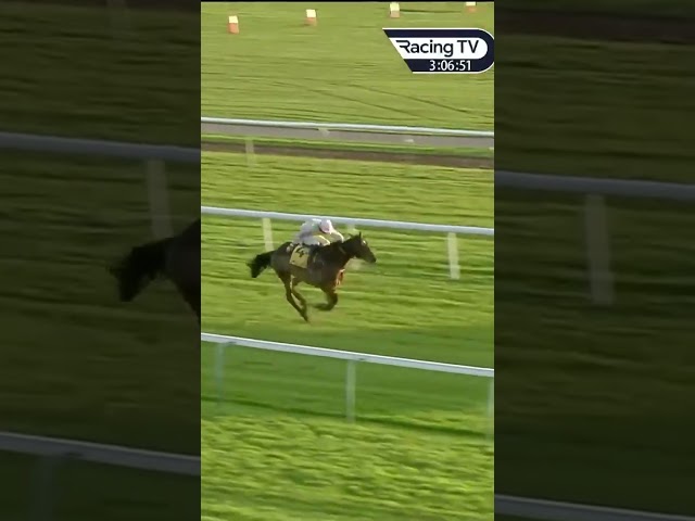 Thumbnail for Post ID: ZxYbodQK2wg