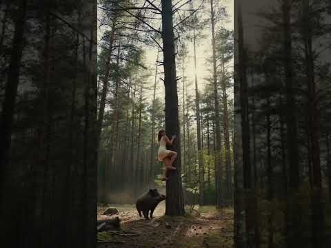 She Thought It Was Gone… Then It Charged Again! 😱