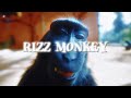 Rizz Monkey EDIT