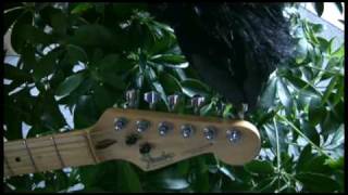 Video thumbnail for How to use the N-Tune on-board guitar & bass tuner by NTuneGuitar