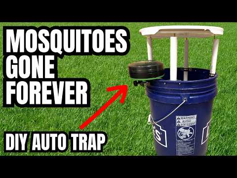 This DIY Mosquito Trap Works Automatically | MONTHS WITHOUT A BITE!!!