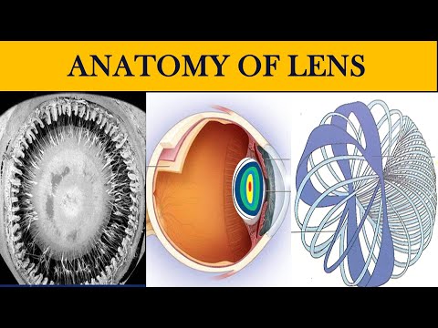 ANATOMY OF LENS | Everything you need to know about