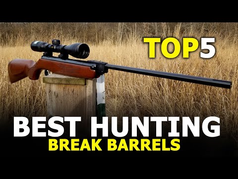 Top 5 Best Hunting Break Barrel Air Rifles 2021 - You Must Have