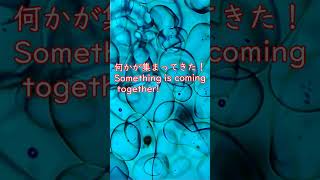 水が溶けていき何かがたくさん集まってきた!!!As the water melted, a lot of things gathered together!!! #shorts #溶ける