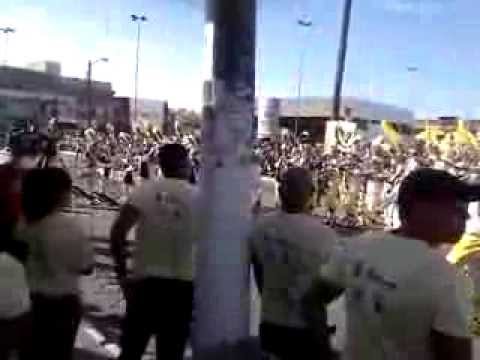 Cinfansim 2013 - Famcruz - Donna Summer