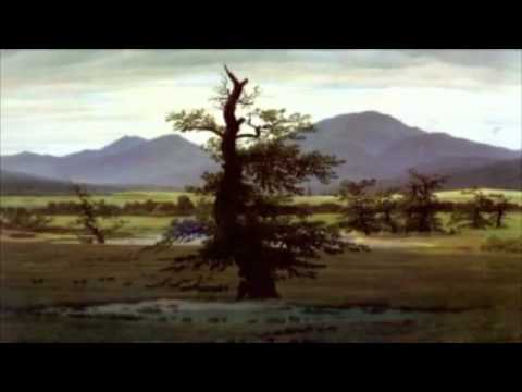 Caspar David Friedrich 'The Lone Tree'
