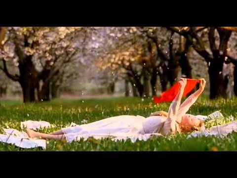 Kytice - Zejtra moje svatba bude