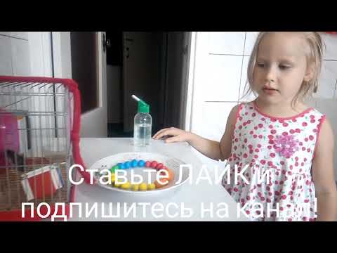 Хомячок и радуга из M&M's