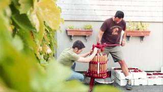 Anti Pasti , Brew Your Own =;-)