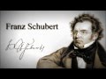 Franz Schubert - Winterreise - 20. Der Wegweiser