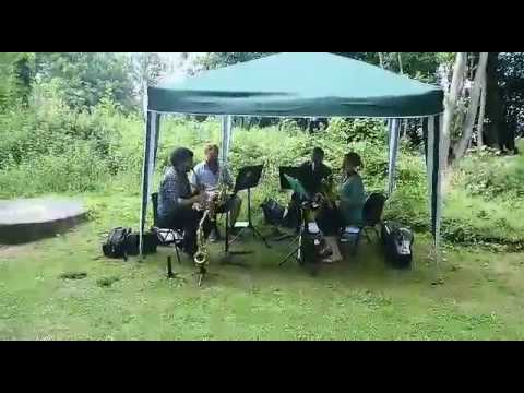 Music with Reeds video.