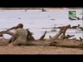 The Crocodile Hunter 01 Abenteuer In Sambia 10 10