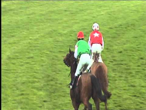 Galopprennbahn Dresden - 16.04.2016 - 1.Rennen