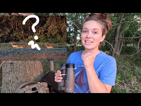 Scouting SUCCESS - Public Land Target Bucks