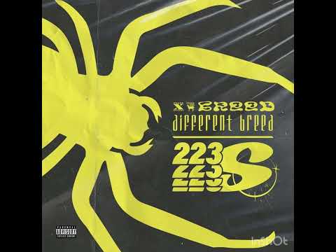 SnGee x kaneki - “Different Breed/223s” Ft Tyreckdagoat