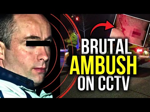 The Brutal Rise and Fall of Ireland's Deadliest Family: The Wilsons | Irish True Crime