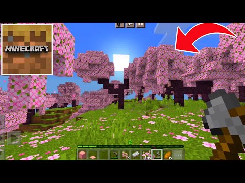 How to Find Cherry Blossom Biome in Minecraft Trial?!?! 🟣