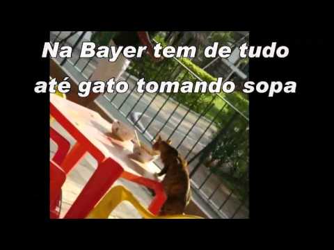Projeto Bayer EC 2010
