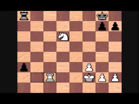 Alexander Alekhine's Top Games: vs Milan Vidmar