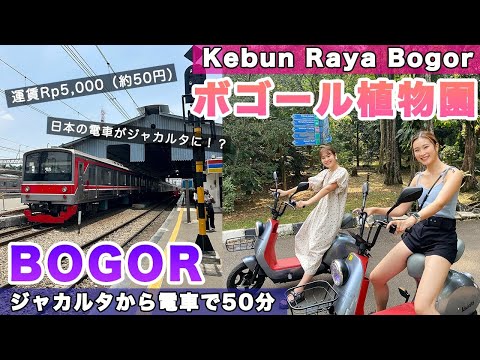 Kebun Raya Bogor 🌱Meu primeiro trem! Fui ao Jardim Botânico de Bogor🇮🇩 Indonésia | Turismo | Indonésia