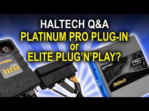Platinum Pro Plugin VS Elite Plug'n'Play Adaptor - Haltech Q&A Episode 23
