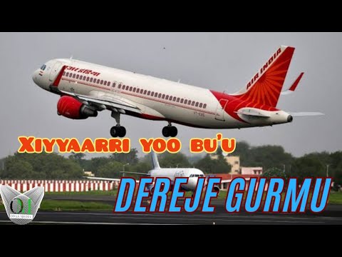 Darajjee Gurmuu NEW Oromo Ethiopian music Xiyyaarri Yoo Bu'u 💜💜2024