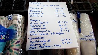 How I Made $1000 Selling Vegetable Plants E-2: Best Plants, When to Pl