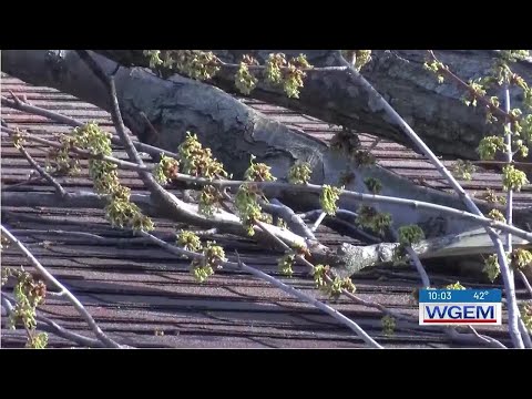 Storm damage cleanup