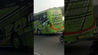 Download lagu Bus Putra Dewantara Ayu 'Real Betis' #fyp#fypage#fypシ#shortsvideo#huntingbus#jalurpantura#feed mp3