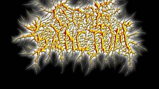 Download lagu Technical Slamming Brutal Death Metal Breakdowns PART 2! mp3
