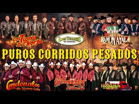 💥PURAS NORTEÑAS VIEJITAS MIX 🔥Puros Clásicos | Tigres, Tucanes, Ramón Ayala ,Invasores, Cardenales