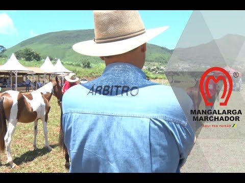 Como é julgada a morfologia