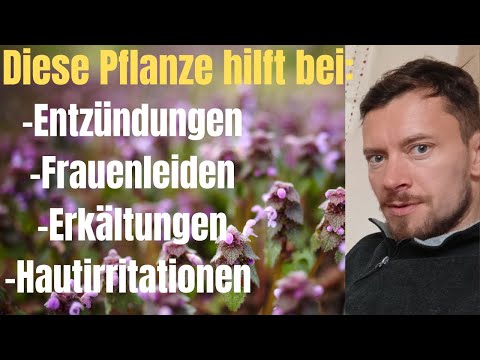 Taubnessel so wirksam wie die Brennnessel? Heftige Heilpflanze! Gönn Dir #superfood