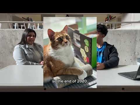 English documentary Noah, Hussein and Mohamad