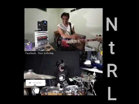 #ntrl cover garuda di dadaku ft. #tarn softwhip