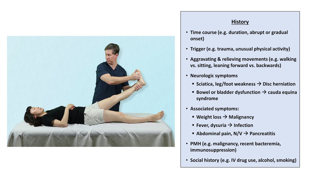 An Approach to Back Pain