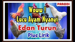 Ayam Nyanyi Edan Turun ( Plus Lirik ) Parodi Dangdut Koplo | Ngakak #PART 2