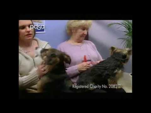 ITV50 Westcountry Ad Breaks+News
