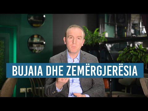 BUJARIA DHE ZEMERGJERESIA, Ali ZAIMI