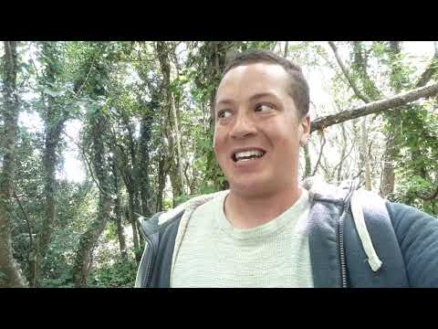 D Rock Rapper - New Money Remix (Official Music Video)