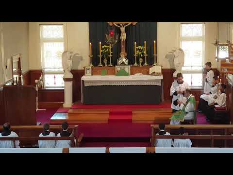 SSPXNZLIVE Livestream - 10 February 2019 High Mass