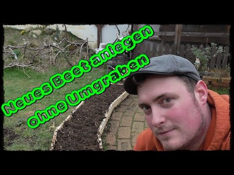 Neues Beet anlegen ohne Umgraben