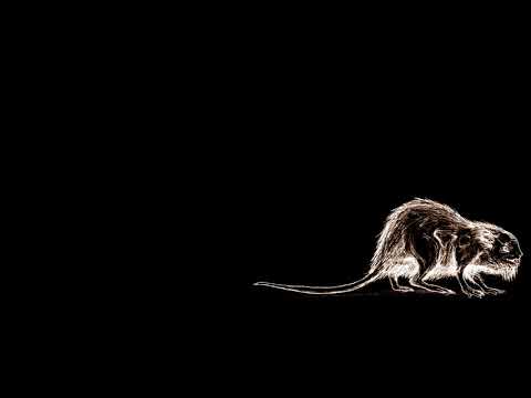 I Sogni nella Casa Stregata - H.P. Lovecraft