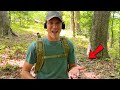HUGE COIN Spill Found Buried In The Woods Metal Detecting For Treasure