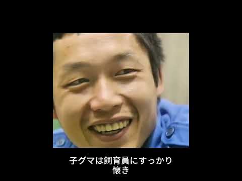 一匹のホッキョクグマの赤ちゃんの物語  #動物