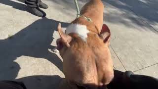 Buster 237203 notices his friend!!